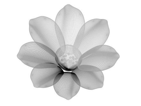 Vanilla Flower 3D Model