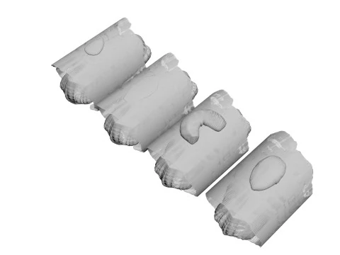 Eggplant Roll 3D Model