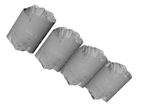 Eggplant Roll 3D Model