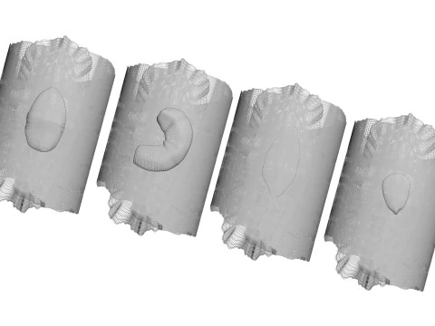 Eggplant Roll 3D Model