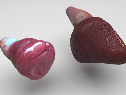 Fish Heart Modelo 3D