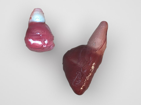 Fish Heart Modelo 3D