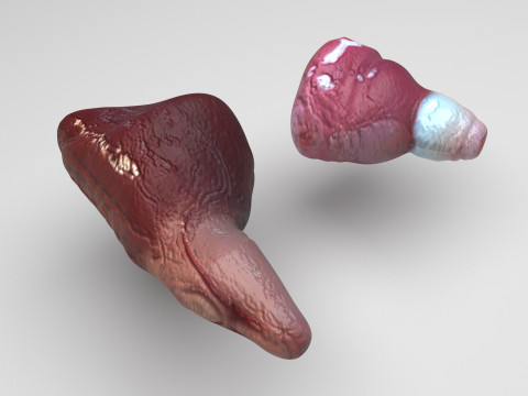 Fish Heart Modelo 3D
