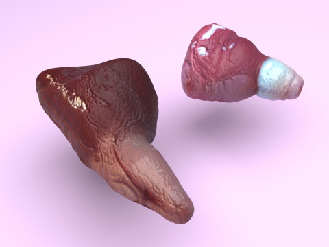 Fish Heart Modelo 3D