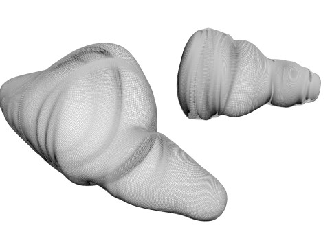 Fish Heart Modelo 3D