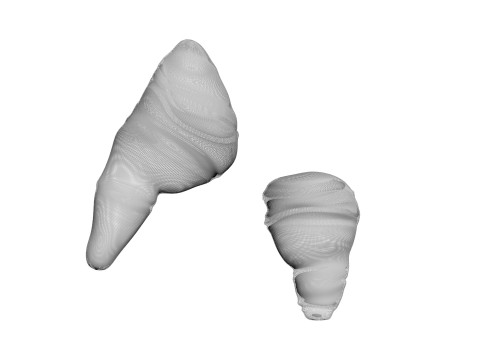Fish Heart Modelo 3D