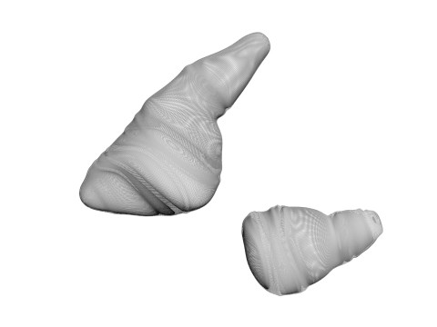 Fish Heart Modelo 3D