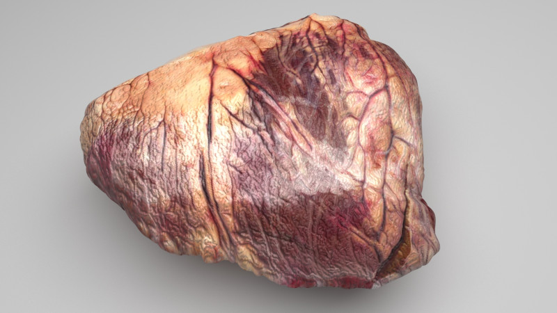 Beef Heart 3D 모델 .c4d .max .obj .3ds .fbx .stl .blend