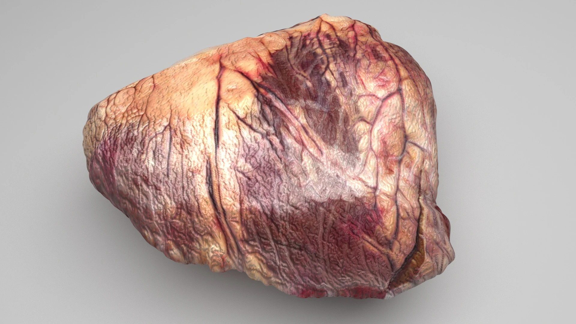Beef Heart 3D Model .c4d .max .obj .3ds .fbx .stl .blend