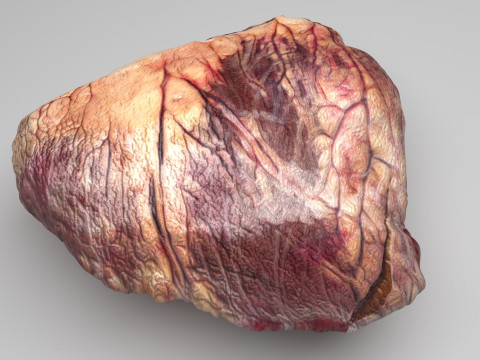 Beef Heart 3D 모델