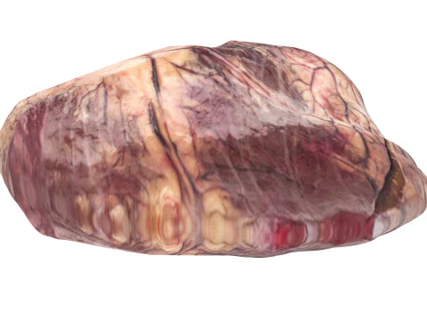 Beef Heart 3D Model