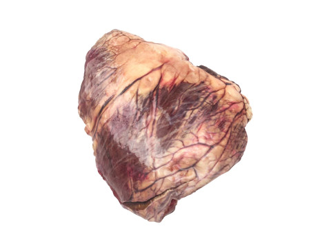 Beef Heart 3D 모델