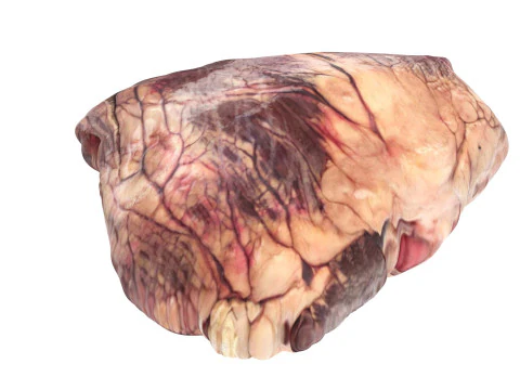 Beef Heart 3D Model