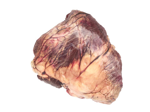 Beef Heart 3D 모델