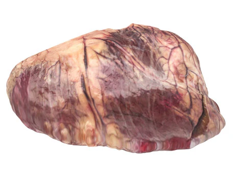 Beef Heart 3D Model
