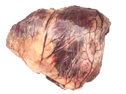 Beef Heart 3D 모델