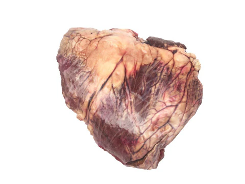 Beef Heart 3D Model