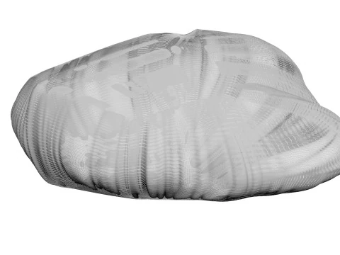 Beef Heart 3D Model