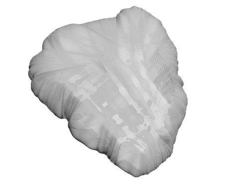 Beef Heart 3D Model