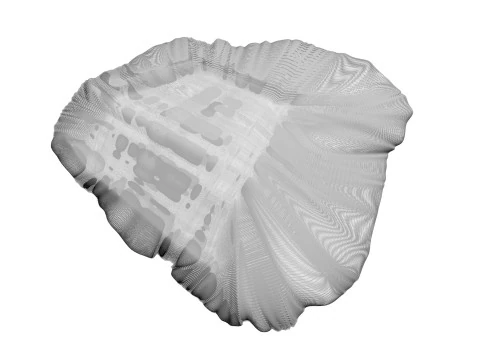 Beef Heart 3D Model