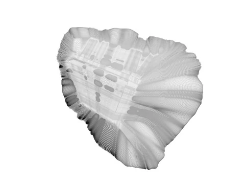 Beef Heart 3D Model