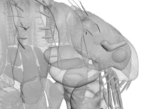Jumping Flea 3D-Modell