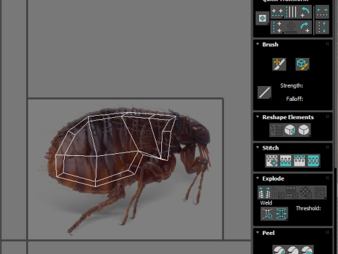 Jumping Flea 3D-Modell