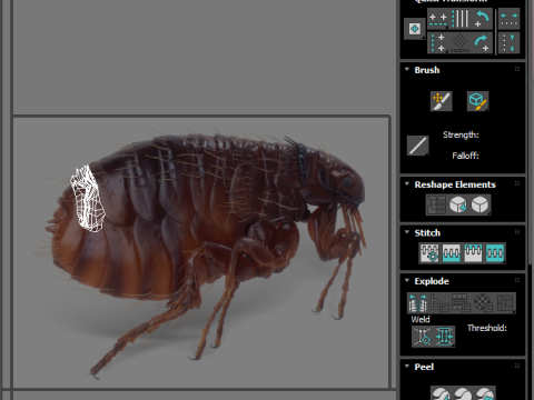 Jumping Flea 3D-Modell