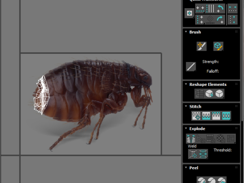 Jumping Flea 3D-Modell
