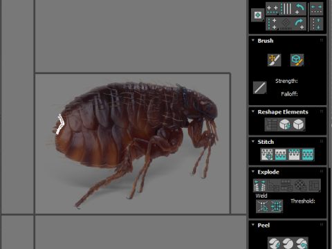 Jumping Flea 3D-Modell