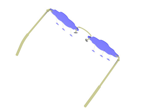 Rain Sunglasses 3D Model