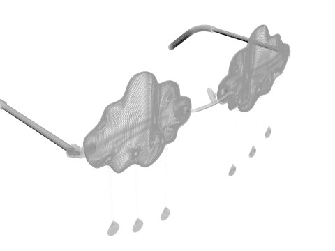 Rain Sunglasses 3D Model