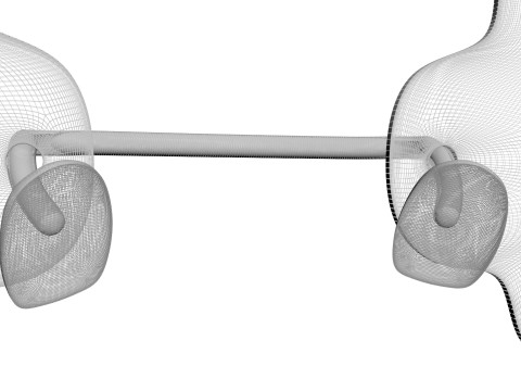Rain Sunglasses 3D Model