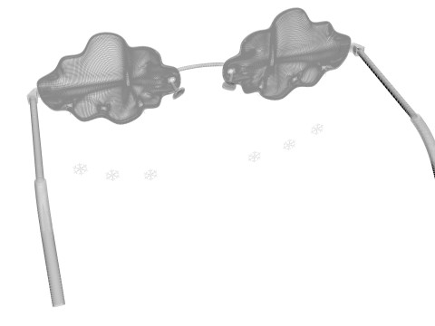Snowfall Sunglasses Model 3D
