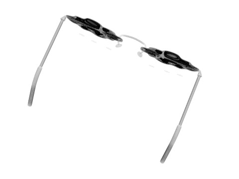 Snowfall Sunglasses Model 3D