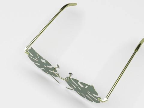 Aloha Leaf Sunglasses Modello 3D