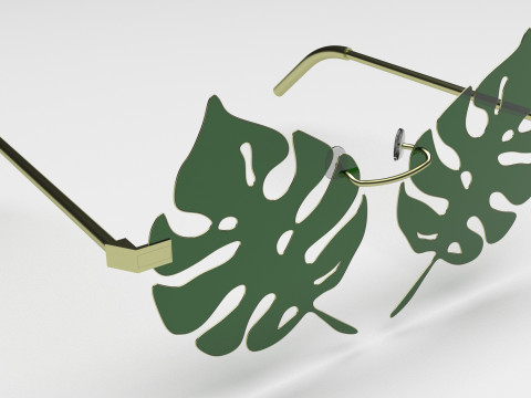 Aloha Leaf Sunglasses Modello 3D