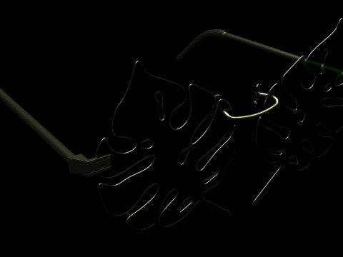 Aloha Leaf Sunglasses Modello 3D