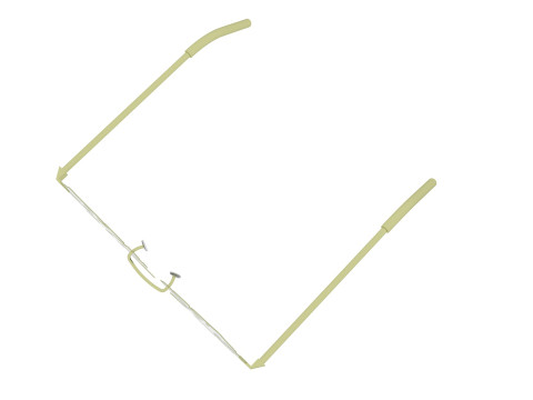 Aloha Leaf Sunglasses Modello 3D
