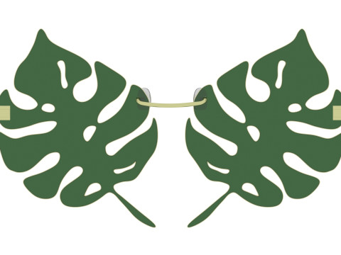Aloha Leaf Sunglasses Modello 3D