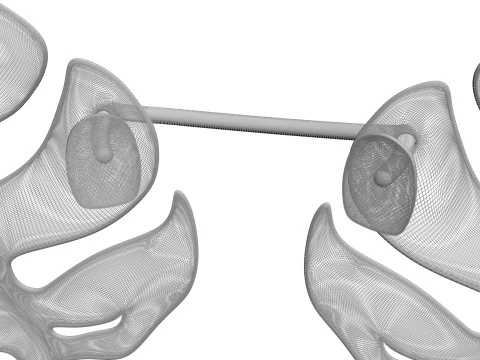 Kacamata Daun Aloha Model 3D