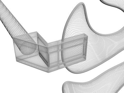 Aloha Leaf Sunglasses Modello 3D