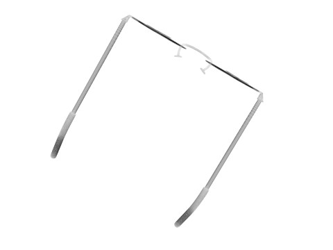 Apple Sunglasses Model 3D
