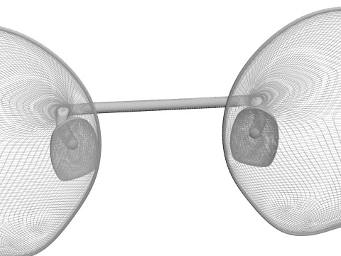 Apple Sunglasses Model 3D