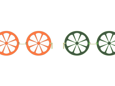 Citrus Sunglasses Collection 3Dモデル