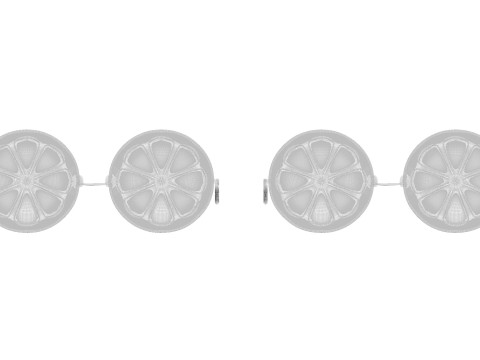 Citrus Sunglasses Collection 3Dモデル