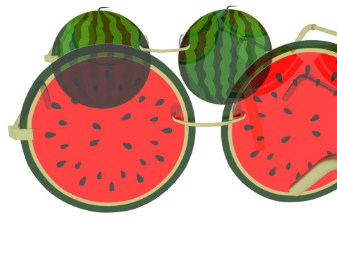 Watermelon Sunglasses Collection Model 3D