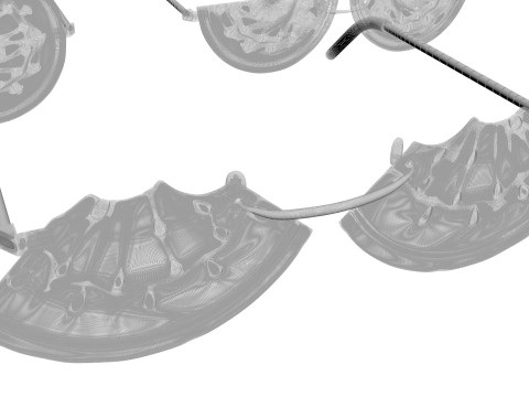 Watermelon Sunglasses Collection Model 3D