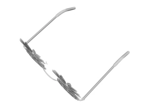 Pineapple Sunglasses 3D Model