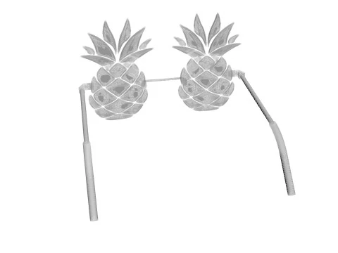 Pineapple Sunglasses 3D Model
